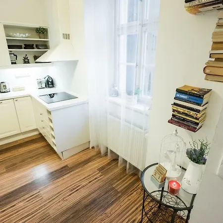 Enchanting Sara In The Real Historical Heart Of Apartment Prag